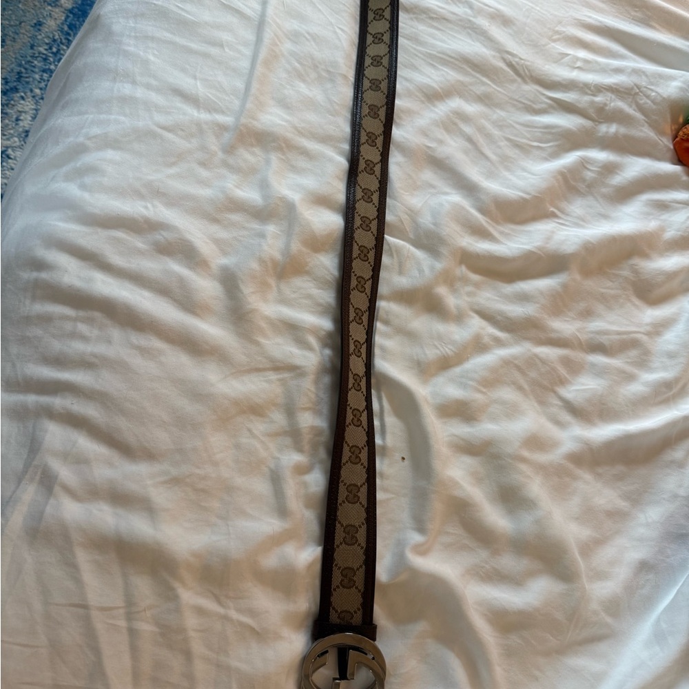 gucci belt